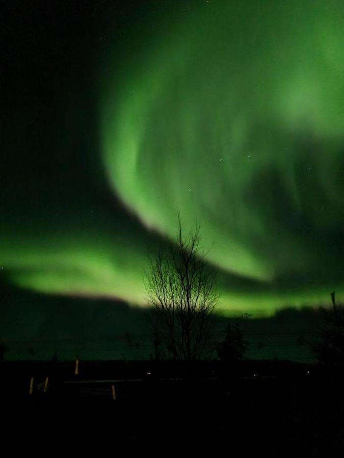 Vila Kalda Lyngholt Egilsstadir Exteriér fotografie