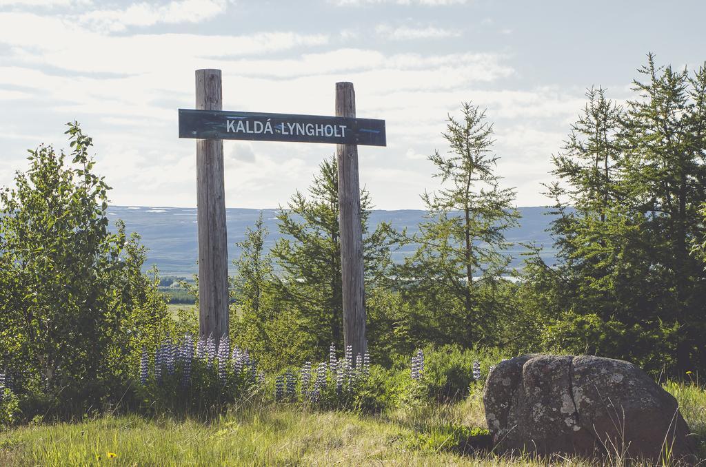 Vila Kalda Lyngholt Egilsstadir Exteriér fotografie
