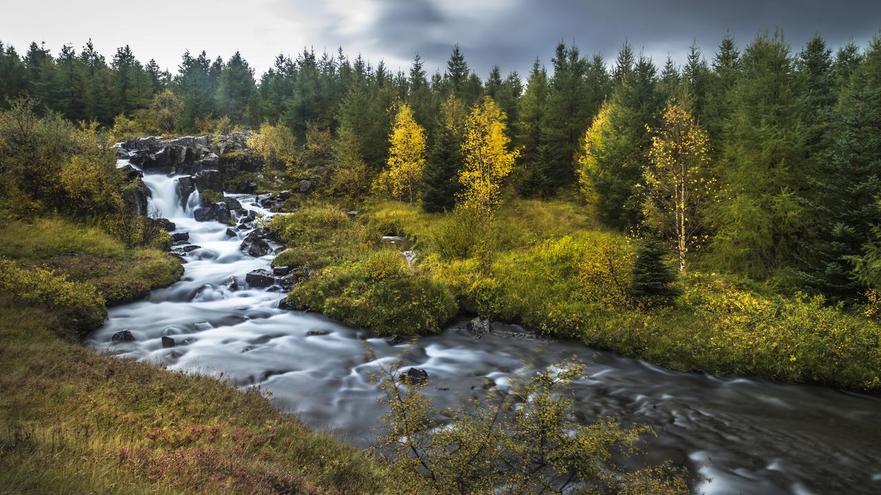 Vila Kalda Lyngholt Egilsstadir Exteriér fotografie