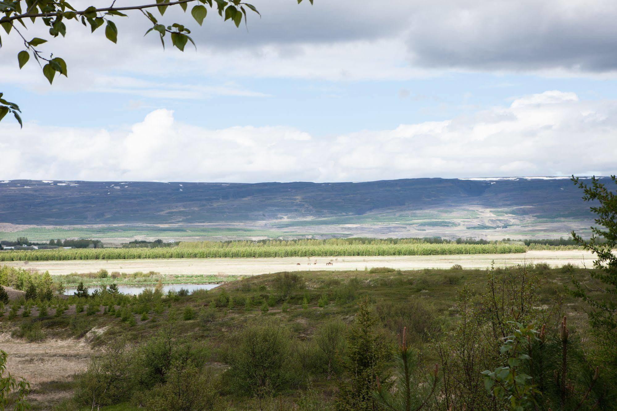 Vila Kalda Lyngholt Egilsstadir Exteriér fotografie
